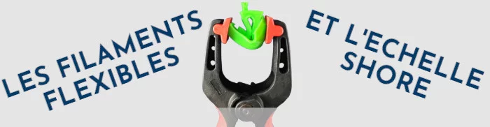 Bannière les filaments flexibles et l'échelle shore