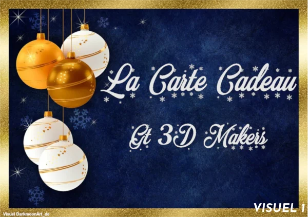 Visuel 1