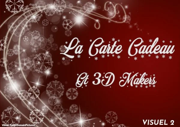Visuel 2