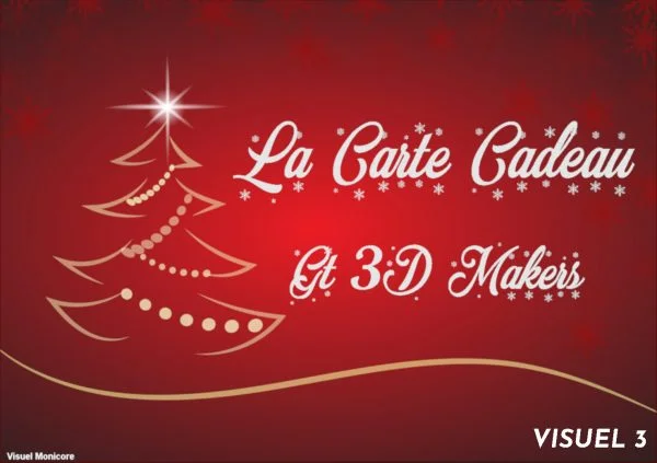 Visuel 3