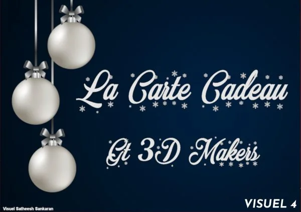 Visuel 4