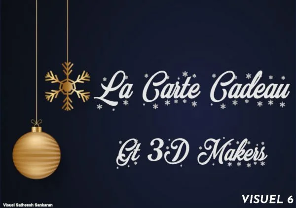 Visuel 6