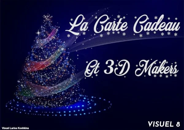Visuel 8